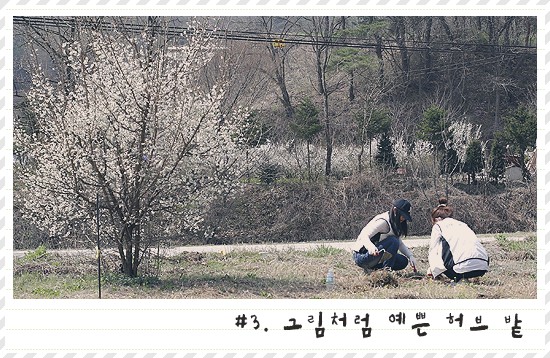봉사활동-3.jpg