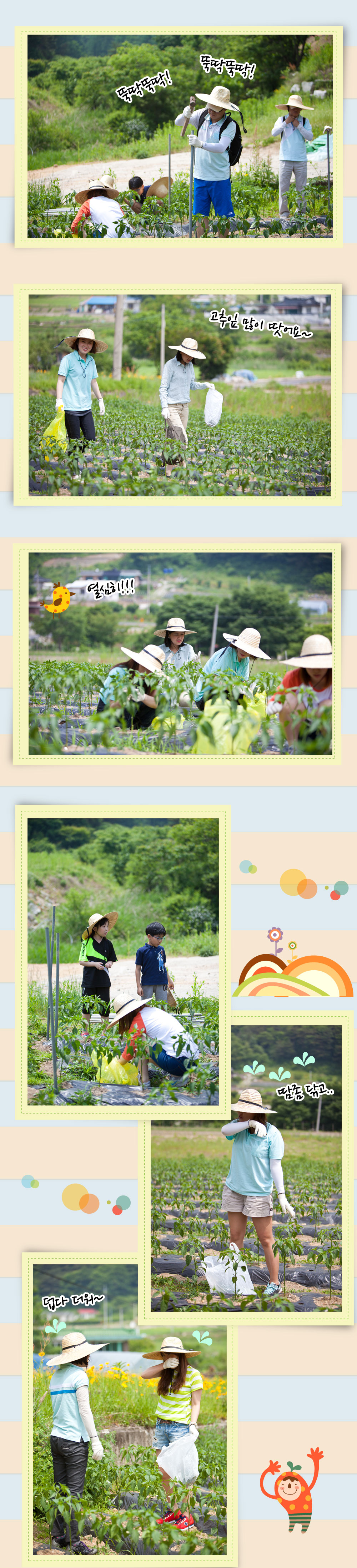 20130608-03.jpg