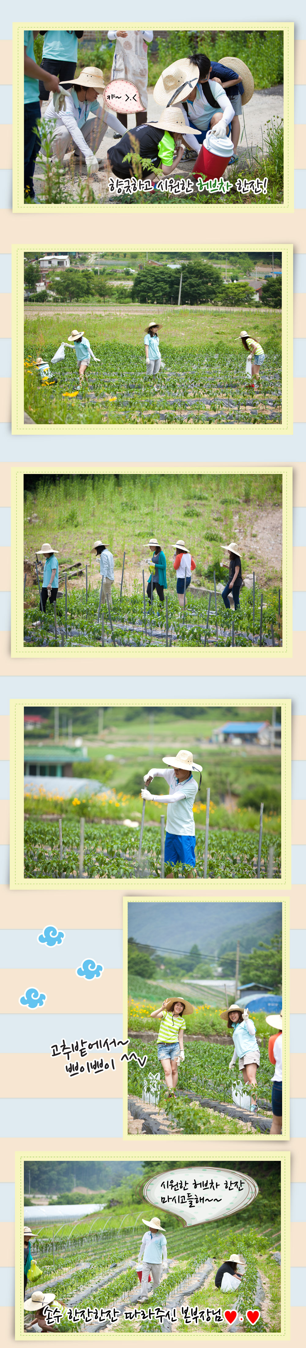 20130608-05.jpg