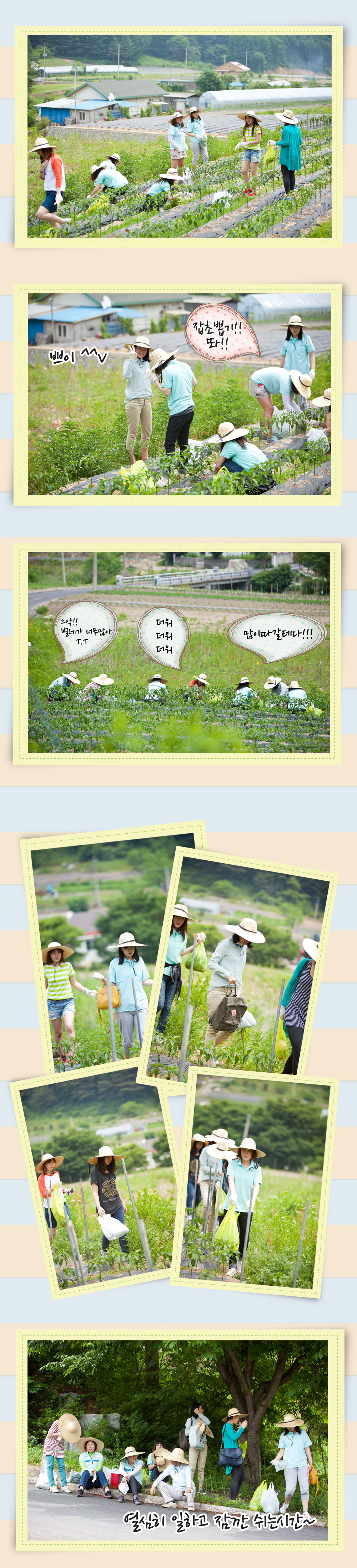 20130608-06.jpg